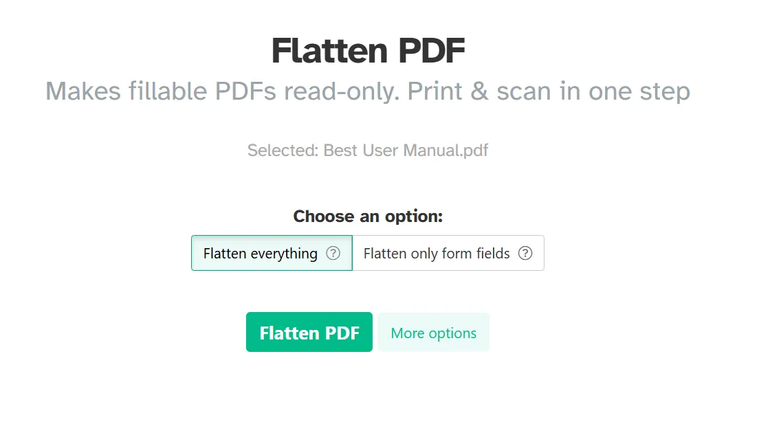 choose an option