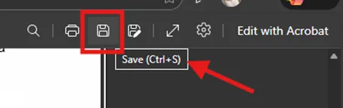 save as pdf
