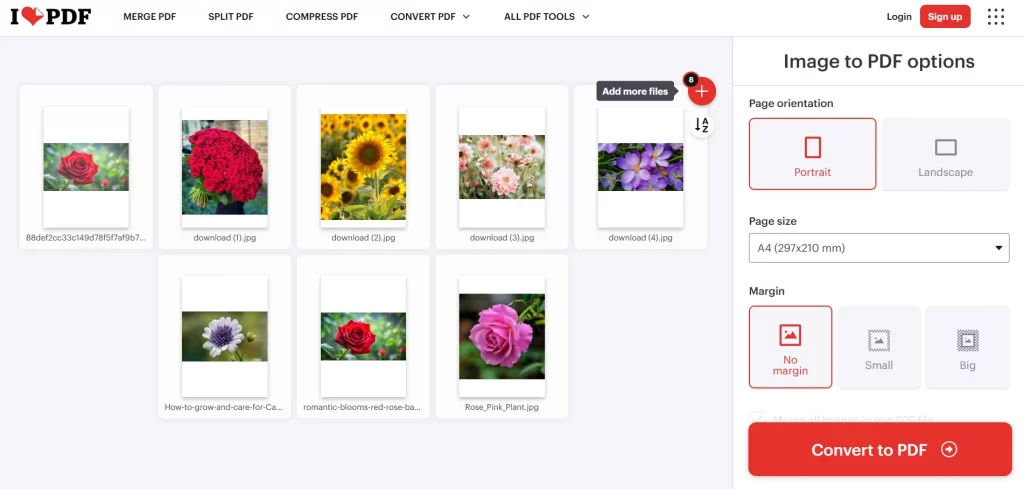 Convert To PDF Option