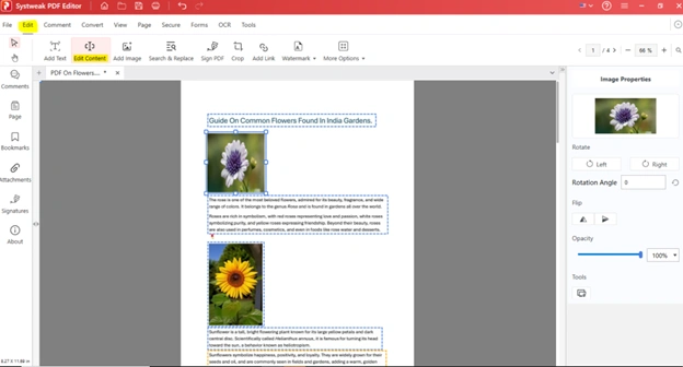 Edit Content in PDF