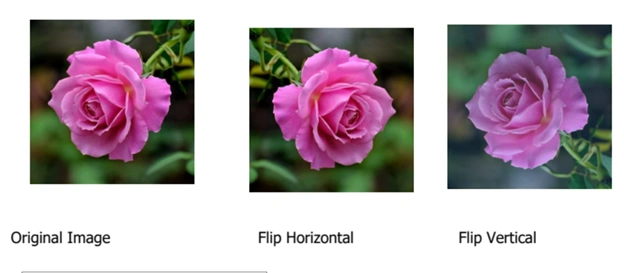 How can i modify images in PDF