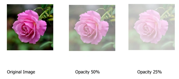 How to edit pictures in a PDF document