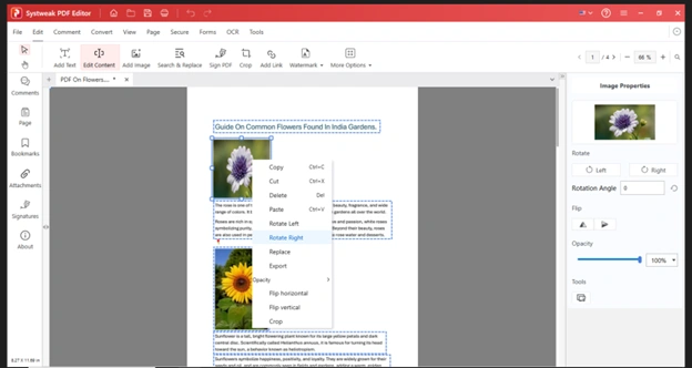 PDF editor for image editing