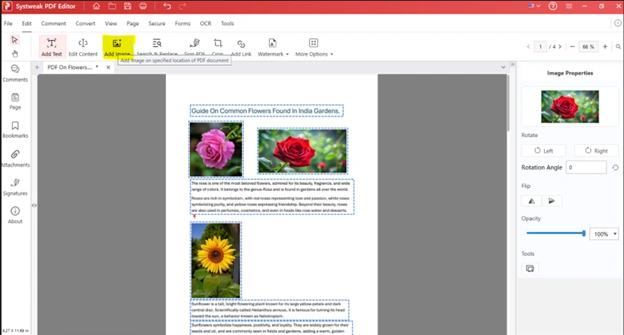 change images in PDF