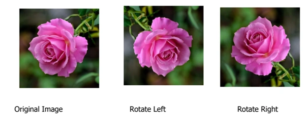 edit images in a PDF