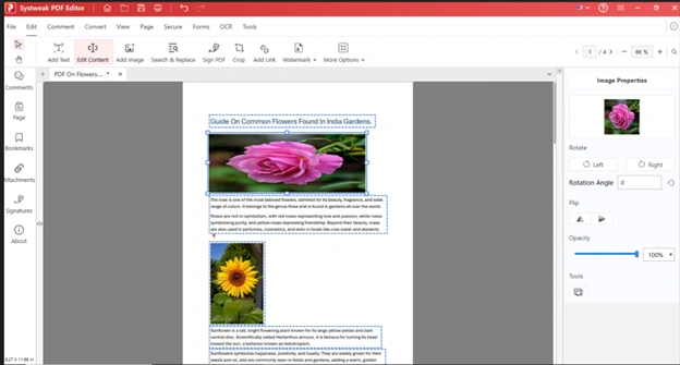 edit pictures in a PDF document