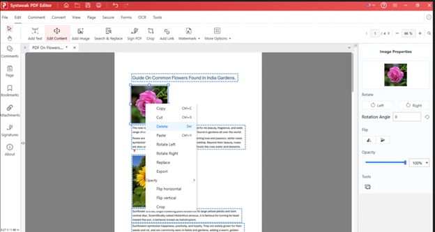 replace image in PDF file
