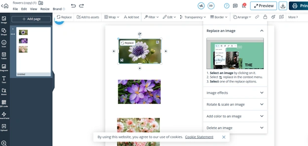 replace image in PDF