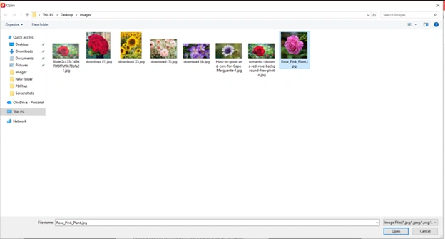 select the new image