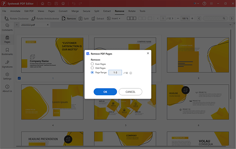 select Odd or Even pages to remove