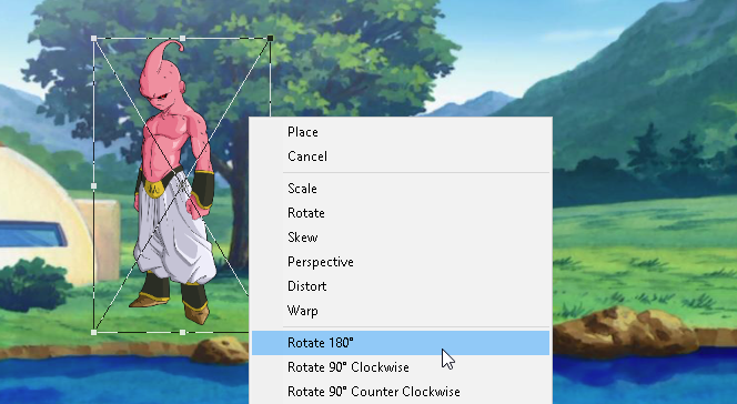 Image Rotation