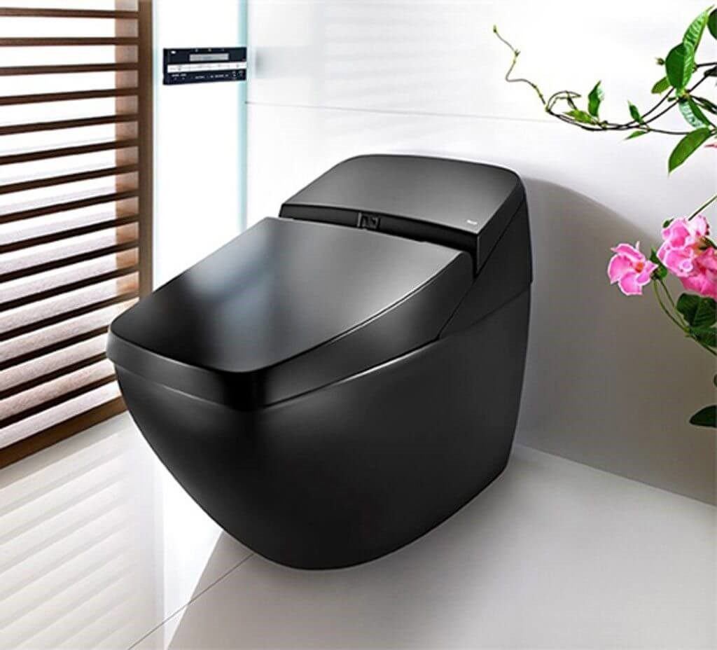Smart Toilet
