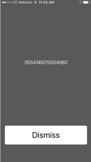 View iPhone IMEI
