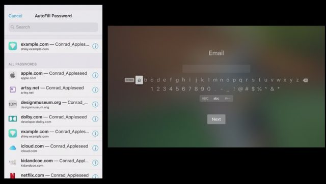 AutoFill email password