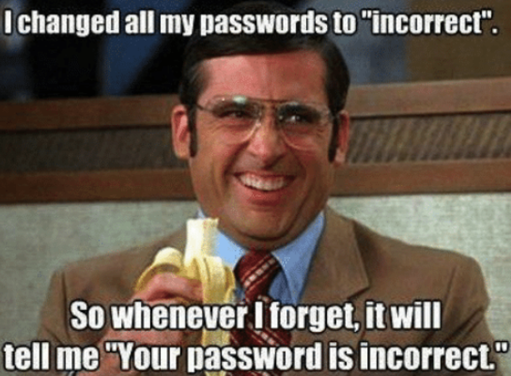 your password is incorrect