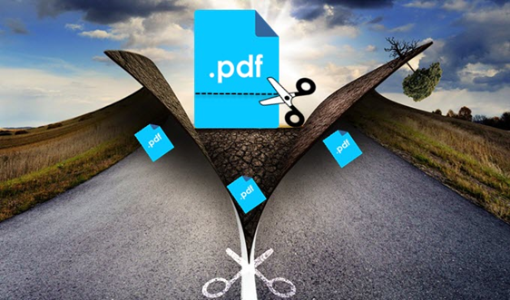How to Extract Pages from a PDF in Android & iOS