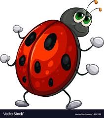 Bugs