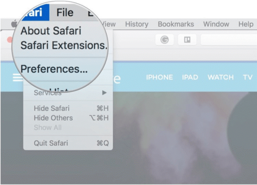 Safari Extensions