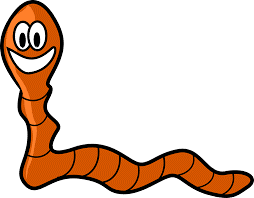 Viruses and Worms