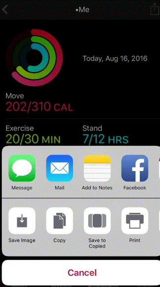 Share Activity Rings Without Using Activity Sharing step-2