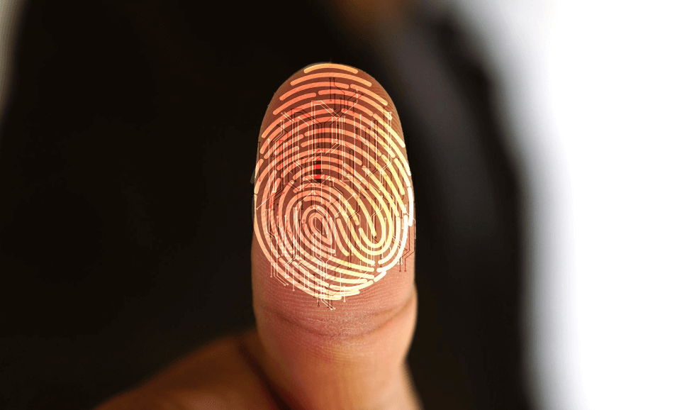 Fingerprint Recognition Is The Latest Fashion In Smartphones