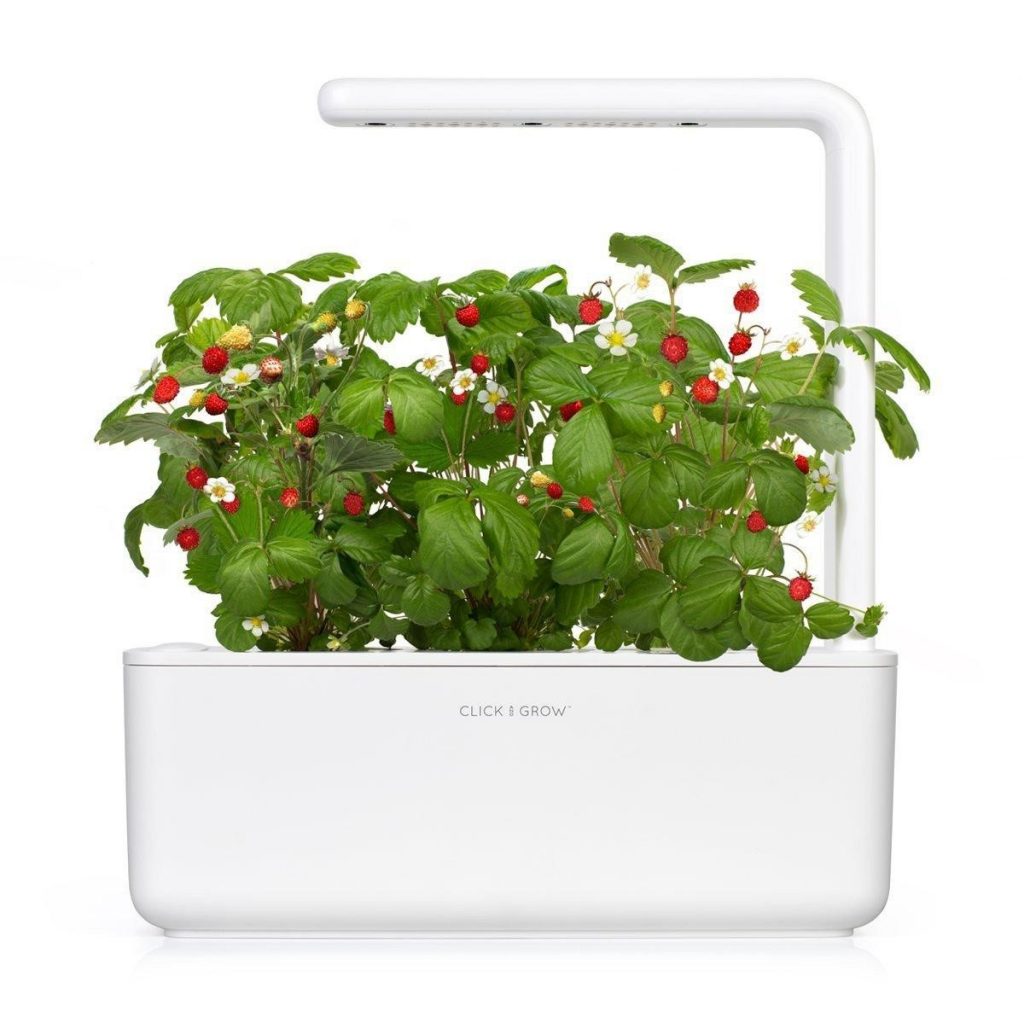 Smart Garden