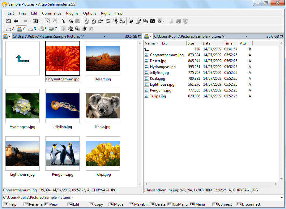 Altap Salamander file manager