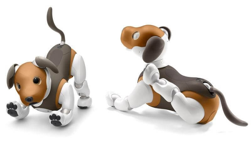 What is Aibo Capable of Doing