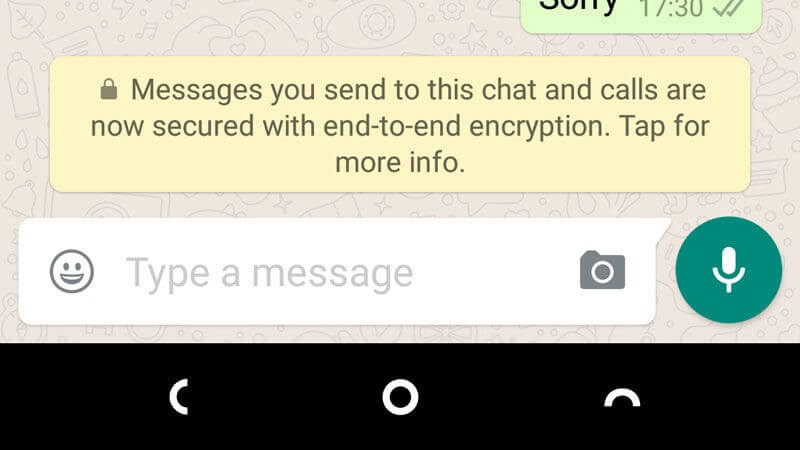 WhatsApp does not See Your Texts