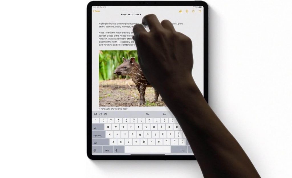 Text Editing