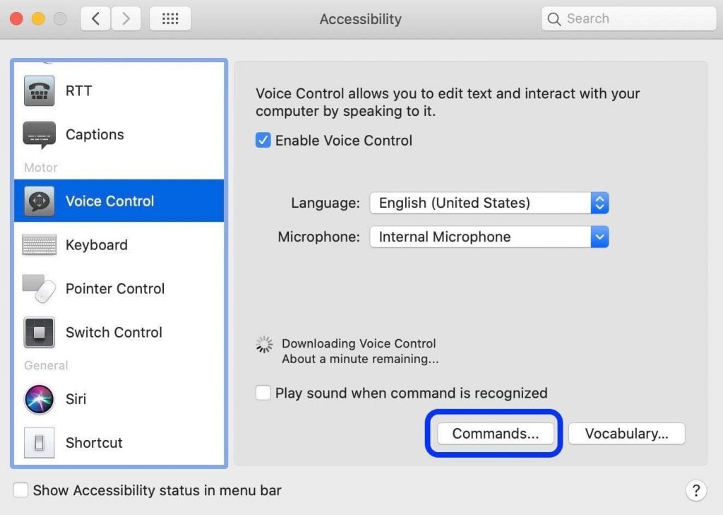 Voice Control