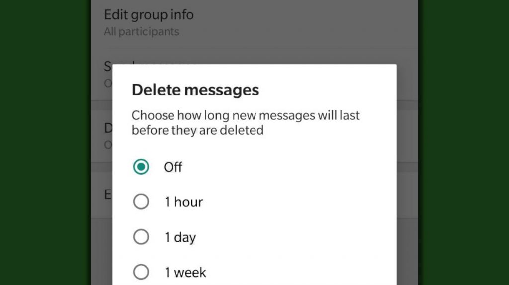 WhatsApp Auto Delete Messages