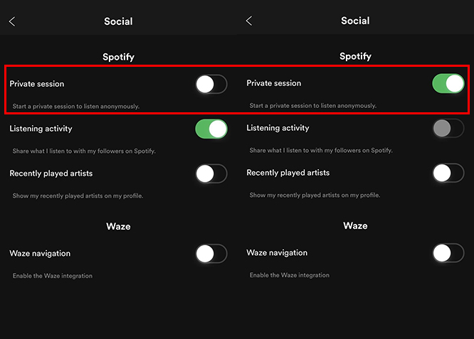 Spotify private session