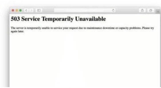 What is Error 503
