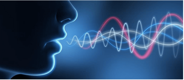 Speech recognition software
