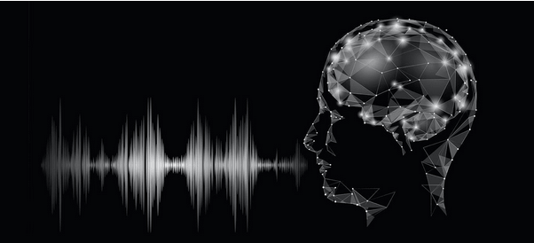 voice recognition software