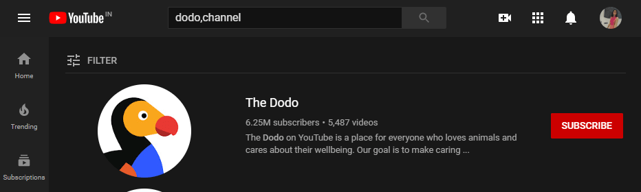 Searching Channel on youtube