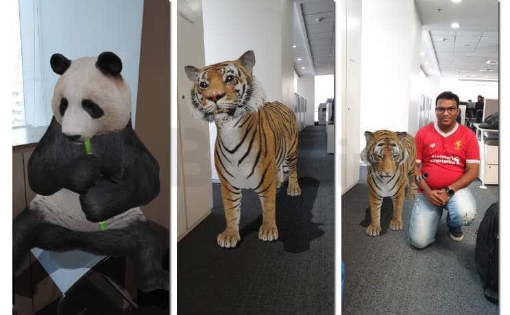 google 3d animal feature