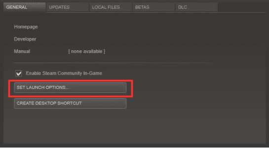 Set Launch Options