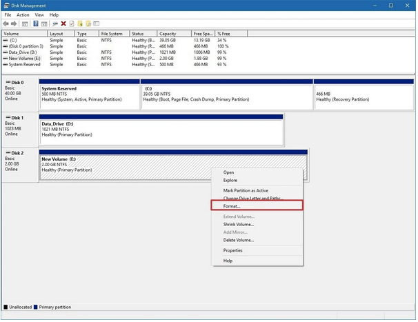 Format the Disk Drive