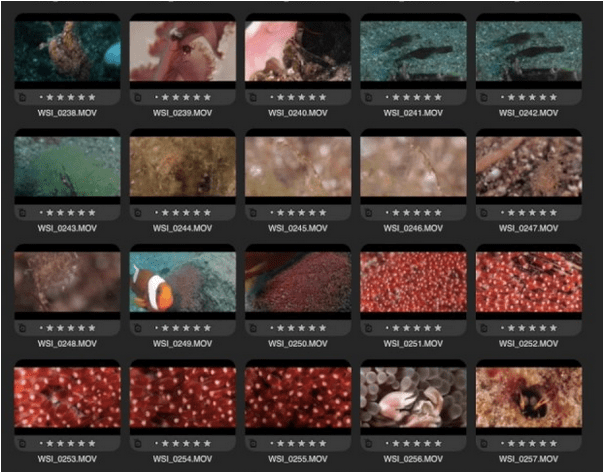 Find Duplicate Videos On Android Smartphone