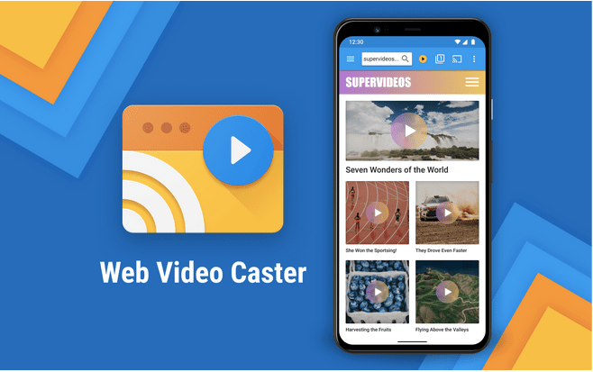 Web Video Caster