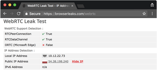 WebRTC Leaks