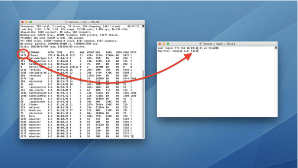 Using Mac’s Terminal